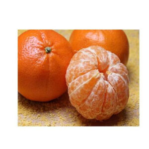 Wholesale Vietnam Fresh Oranges/fresh Fruit