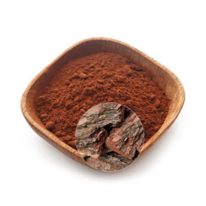 Premium Pine Bark Extract Powder Rich in Antioxidants for Daily Wellness Support